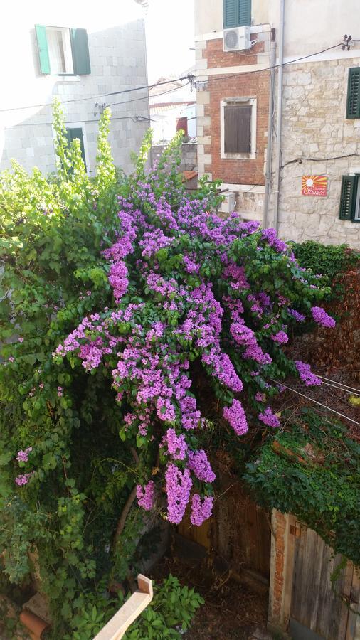 Fairy Of The Seas Apartments Split Bagian luar foto